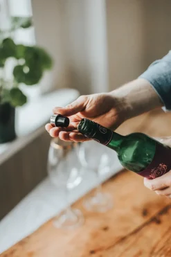 Valli wijnstoppers 2-pack 3 cm, Chroom