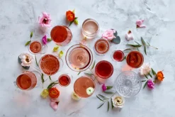 Zero champagneglas coupe 26 cl 4-pack, Kristal