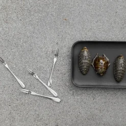 Zout- & pepervaatje kevers, bruin