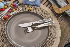 Zwilling Twin kids kinderbestekset 4-delig, Eckbert ridder